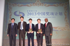 The China Awards Programme 2013